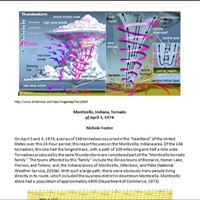Портфолио Nichole Foster